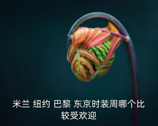 米兰和巴黎哪个更时尚，米兰 纽约 巴黎 东京时装周哪个比较受欢迎