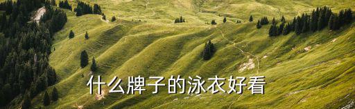 什么牌子的泳衣好看