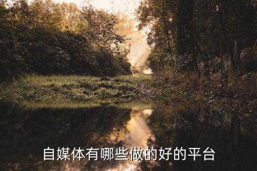 自媒体有哪些做的好的平台