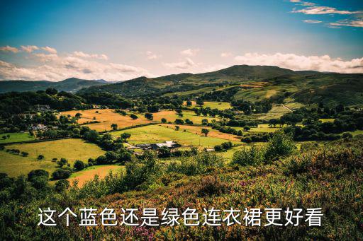 这个蓝色还是绿色连衣裙更好看