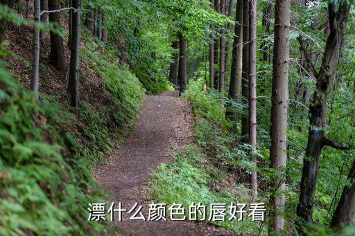 漂什么颜色的唇好看