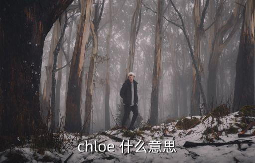 chloe 什么意思