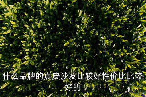 什么品牌的真皮沙发比较好性价比比较好的