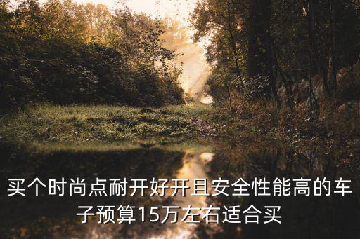 买个时尚点耐开好开且安全性能高的车子预算15万左右适合买