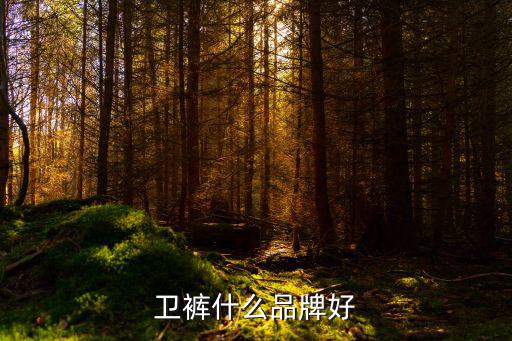 哪个品牌的卫裤时尚，什么卫裤牌子最好看