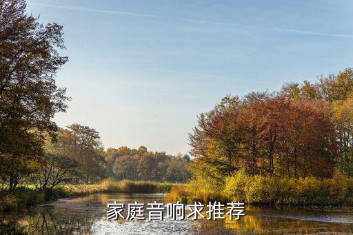 家庭音响求推荐
