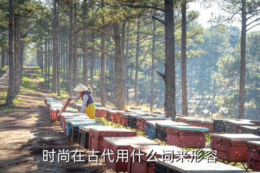 时尚在古代用什么词来形容