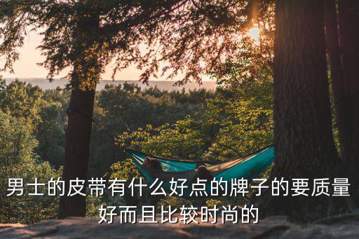 男士的皮带有什么好点的牌子的要质量好而且比较时尚的