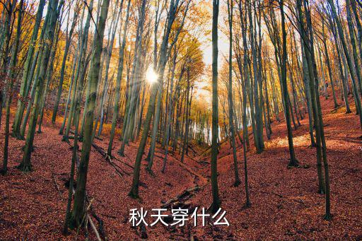 秋天穿什么