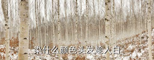 染什么颜色头发趁人白