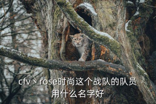 cfv丶rose时尚这个战队的队员用什么名字好