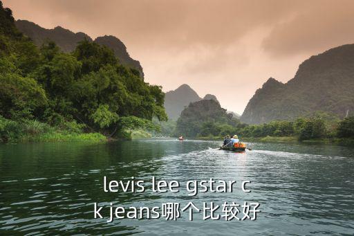 levis lee gstar ck jeans哪个比较好