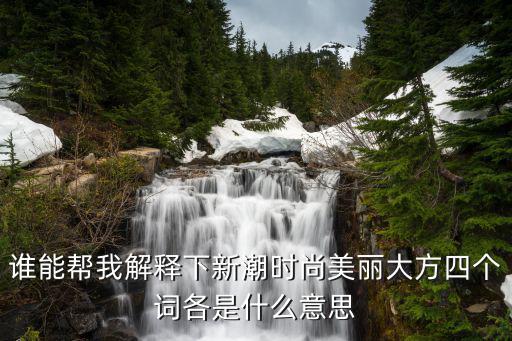 谁能帮我解释下新潮时尚美丽大方四个词各是什么意思