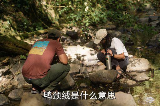 鸭颈绒是什么意思