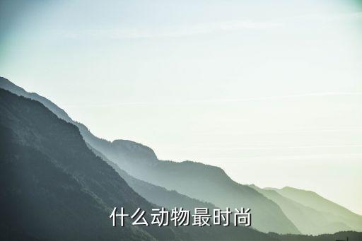 什么动物最时尚