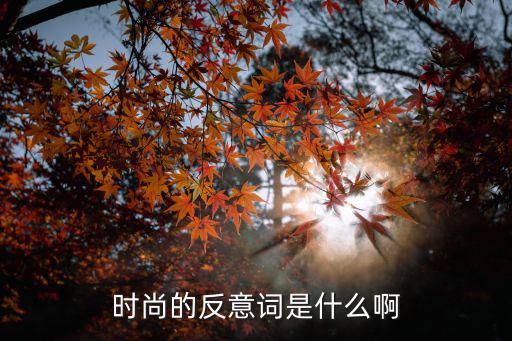 时尚的反意词是什么啊