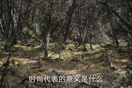 时尚代表的意义是什么
