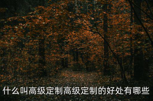 什么叫高级定制高级定制的好处有哪些