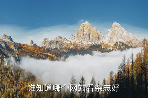 谁知道哪个网站看杂志好