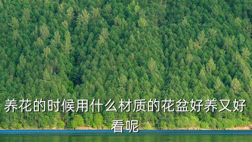 什么盆好看又时尚，养花的时候用什么材质的花盆好养又好看呢