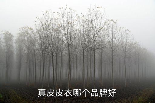 高档皮衣哪个牌子好点时尚，真皮皮衣哪个品牌好