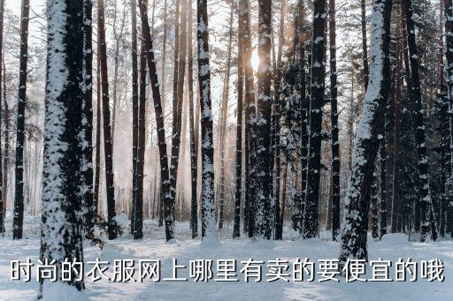 时尚的衣服网上哪里有卖的要便宜的哦