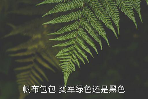军绿和黑色包哪个时尚，帆布包包 买军绿色还是黑色