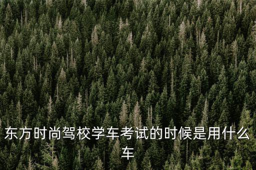 东方时尚驾校学车考试的时候是用什么车