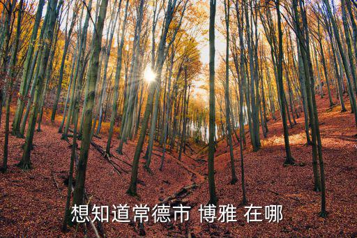 想知道常德市 博雅 在哪