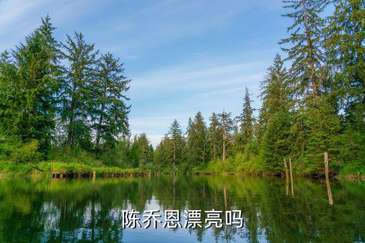 陈乔恩漂亮吗