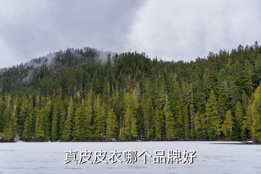 真皮皮衣哪个品牌好