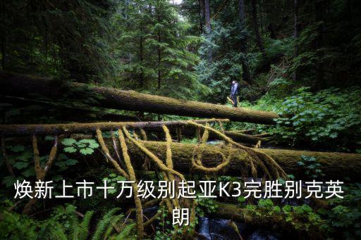 起亚换新版时尚版哪个划算，起亚时尚版和焕新版啥区别