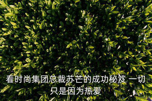 看时尚集团总裁苏芒的成功秘笈 一切只是因为热爱
