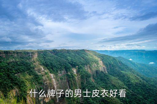 什么牌子的男士皮衣好看