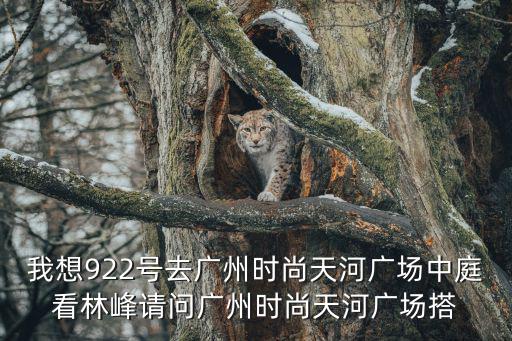 我想922号去广州时尚天河广场中庭看林峰请问广州时尚天河广场搭