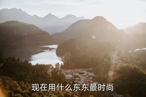 什么时尚洗漱刷，现在用什么东东最时尚