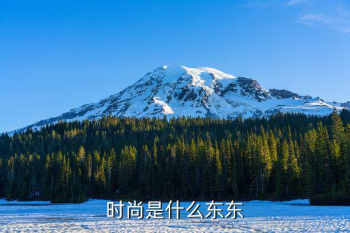 时尚是什么东东