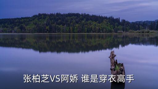 张柏芝VS阿娇 谁是穿衣高手