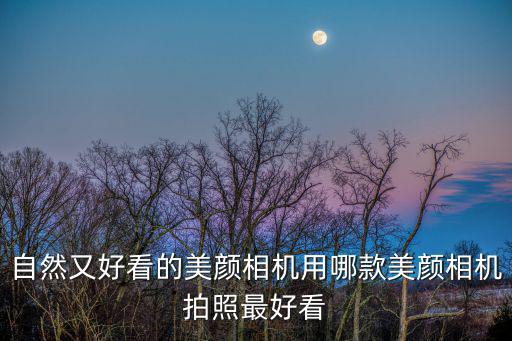 自然又好看的美颜相机用哪款美颜相机拍照最好看