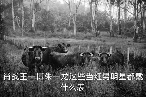 肖战王一博朱一龙这些当红男明星都戴什么表