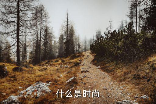 什么是时尚
