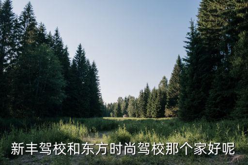 新丰驾校和东方时尚驾校那个家好呢