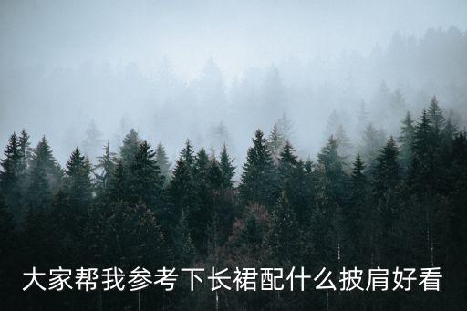 大家帮我参考下长裙配什么披肩好看