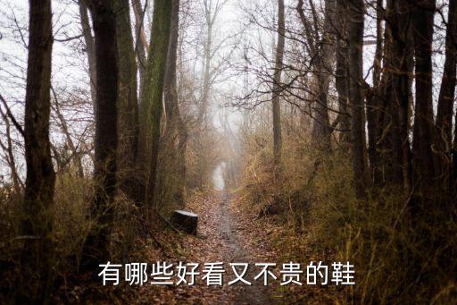 有哪些好看又不贵的鞋