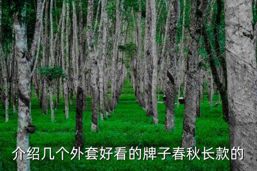 毛绒外套哪个最好看时尚，我想买针织的长款毛绒外套请问有什么好的牌子推荐