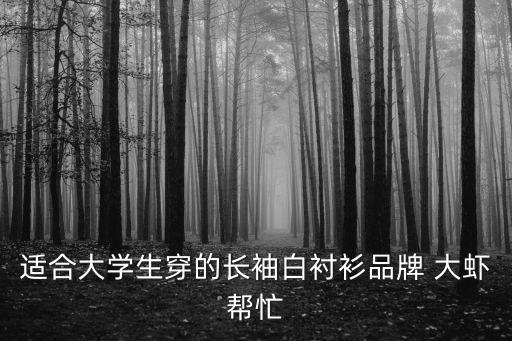 适合大学生穿的长袖白衬衫品牌 大虾帮忙