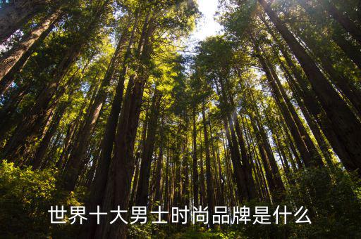 世界十大男士时尚品牌是什么