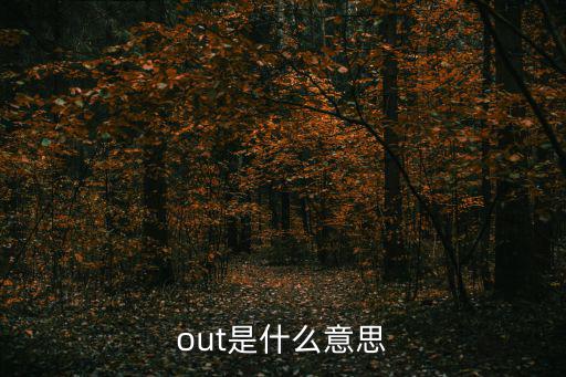 out是什么意思