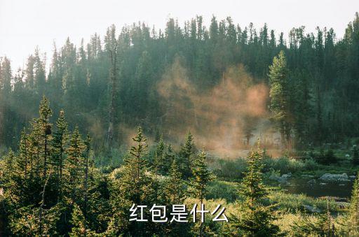 红包是什么