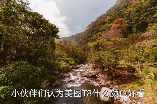 小伙伴们认为美图T8什么颜色好看